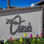 Oasis at Gainey Ranch - Envision Painting