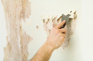 The Pros of Leaving Wallpaper Removal to the Phoenix Pros